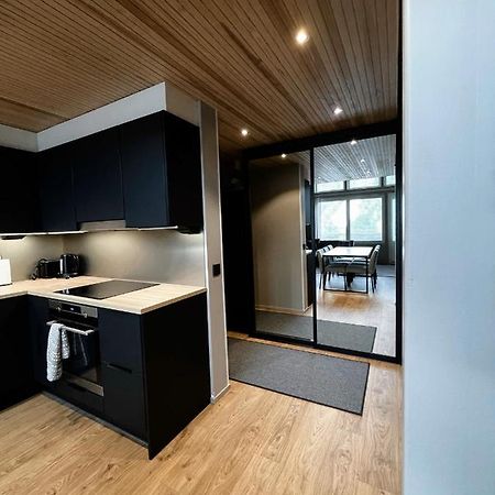 Levin Kunkku B Penthouse Aparthotel Ngoại thất bức ảnh
